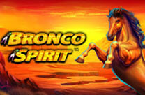 Bronco Spirit