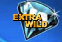 Extra Wild