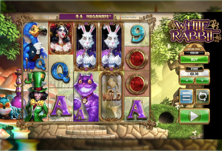 White rabbit