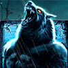 Werewolf Symbole