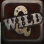 Wild Symbol