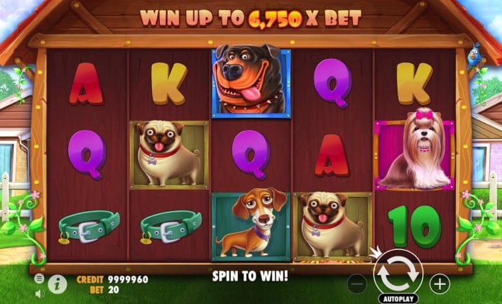 locowin casino opiniones