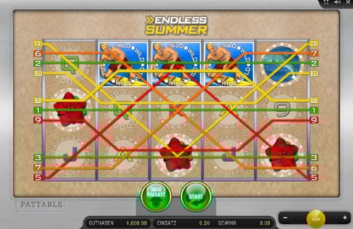 Endless Summer Automatenspiel