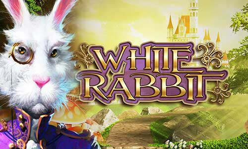 White Rabbit