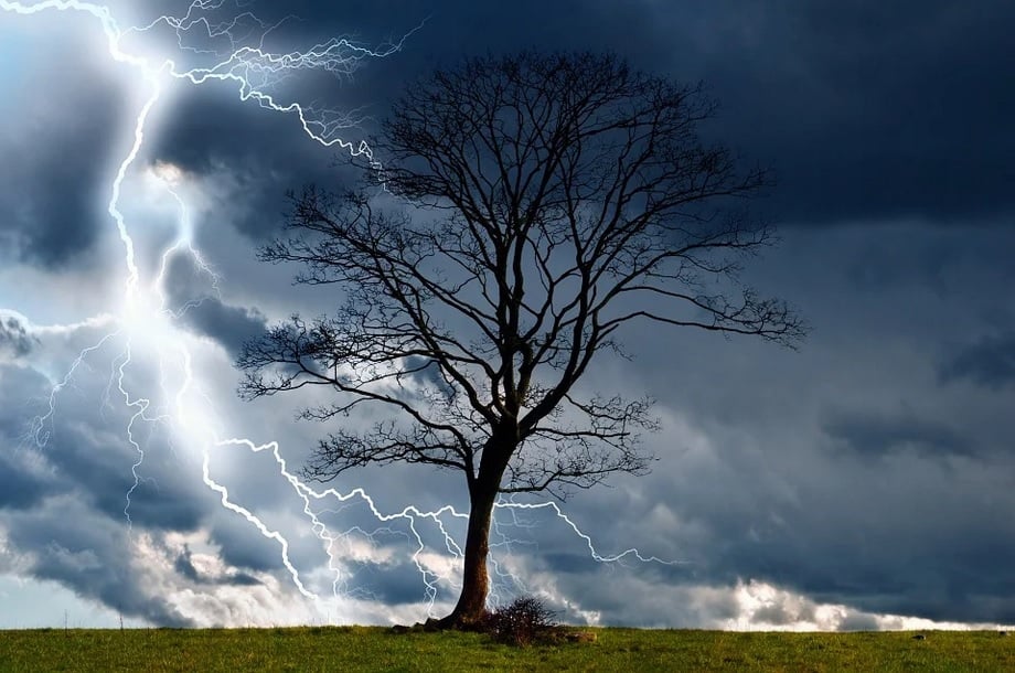 Blitz Gewitter Baum Landschaft