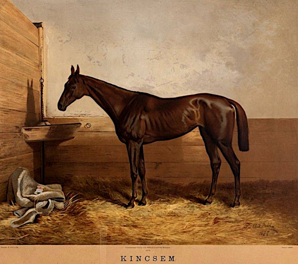 Gemälde des ungarischen Rennpferdes Kincsem.
