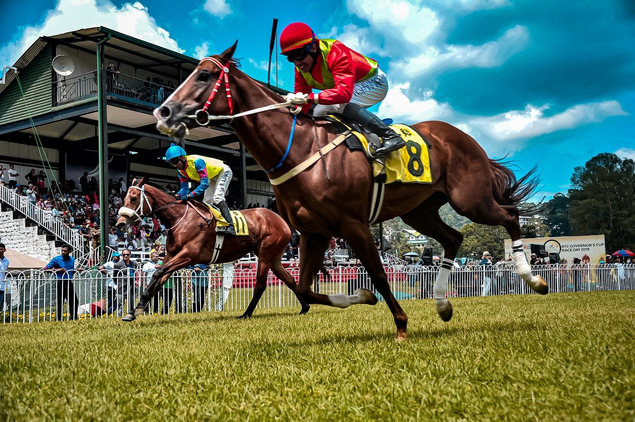 Rennpferd mit Jockey beim Rennen.