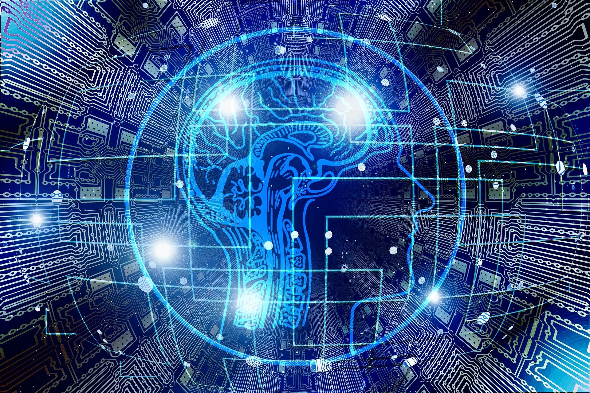 Symbolbild: Illustration Künstlicher Intelligenz mit menschlichem Gehirn und Schaltkreisen