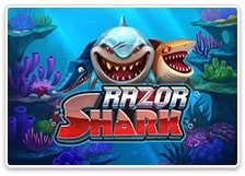 Mehr zu Casinos Deutschland