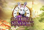 White Rabbit
