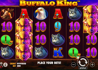 Buffalo King