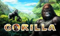 online casino ohne bonus einzahlung telefonische überprüfung bei auszahlung im online casino