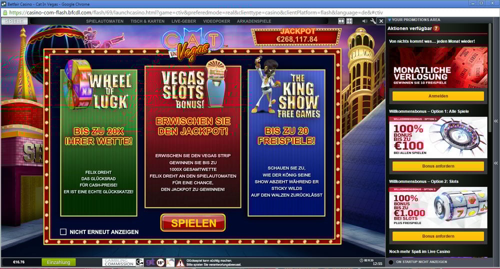 Cat in Vegas