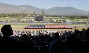 Der Breeders Cup im Santa Anita Park, Kalifornien Der Breeders Cup im Santa Anita Park, Kalifornien