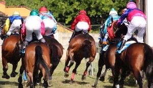 Pferde und Jockeys auf der Rennbahn