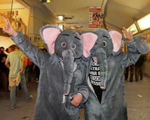 Zwei Männer in Elefantenkostümen 