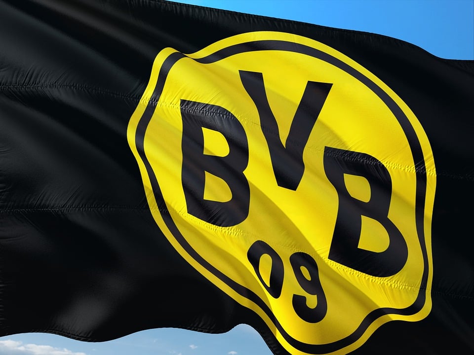 Flagge BVB