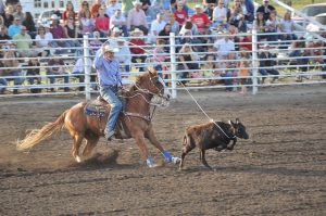 Ein Cowboy auf einem Pferd mit Lasso