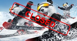 Panda Bären, Ski, Schnee, closed