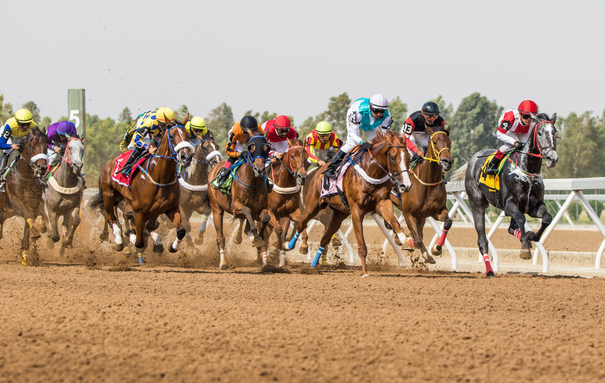 Saudi Cup Pferderennen