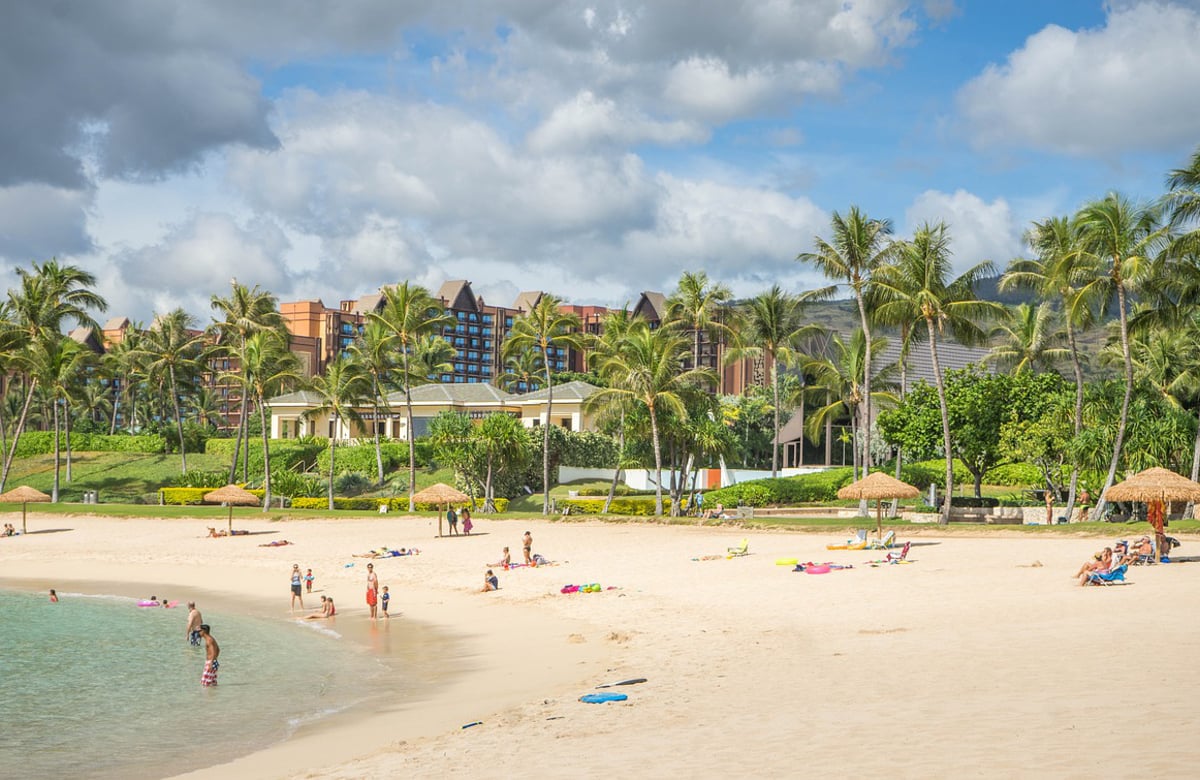 Strand Palmen Hawaii