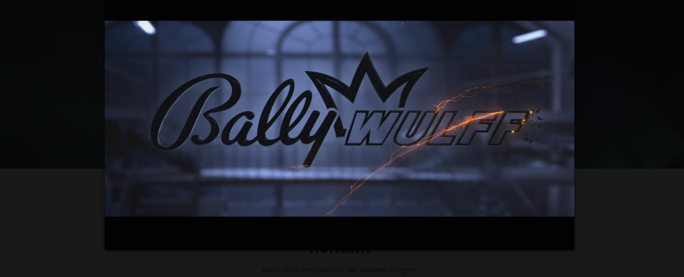 Bally Wulff Logo|Spielautomat