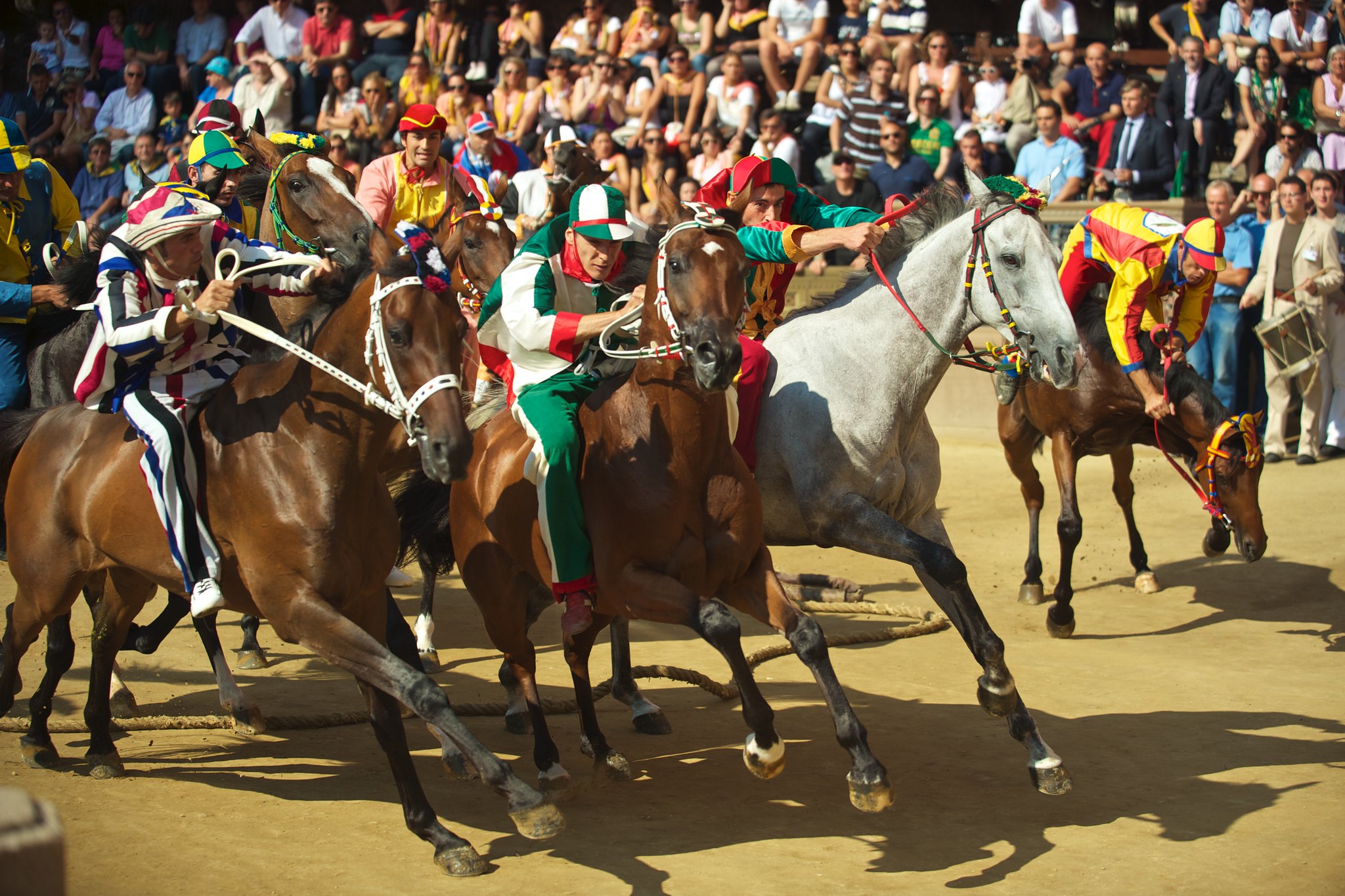 rennpferde in Siena auf dem Piazza del Campo beim Palio di Siena