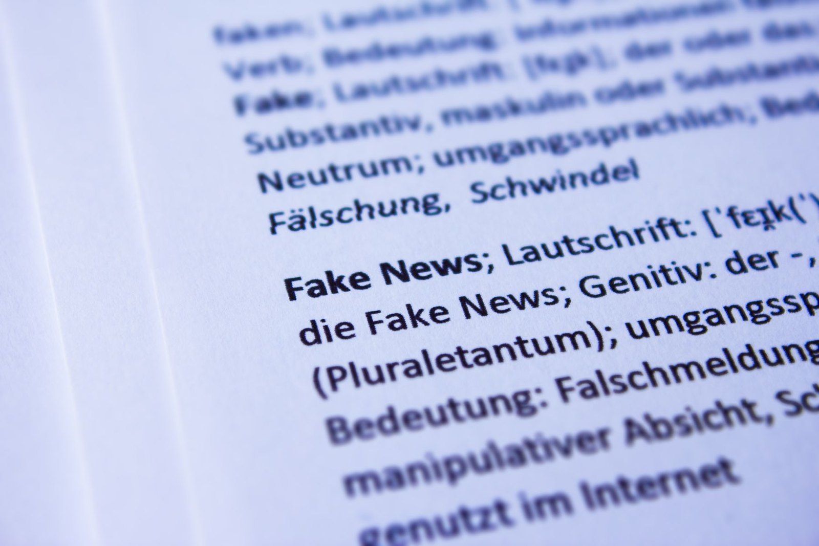 Fake News Wörterbucheintrag