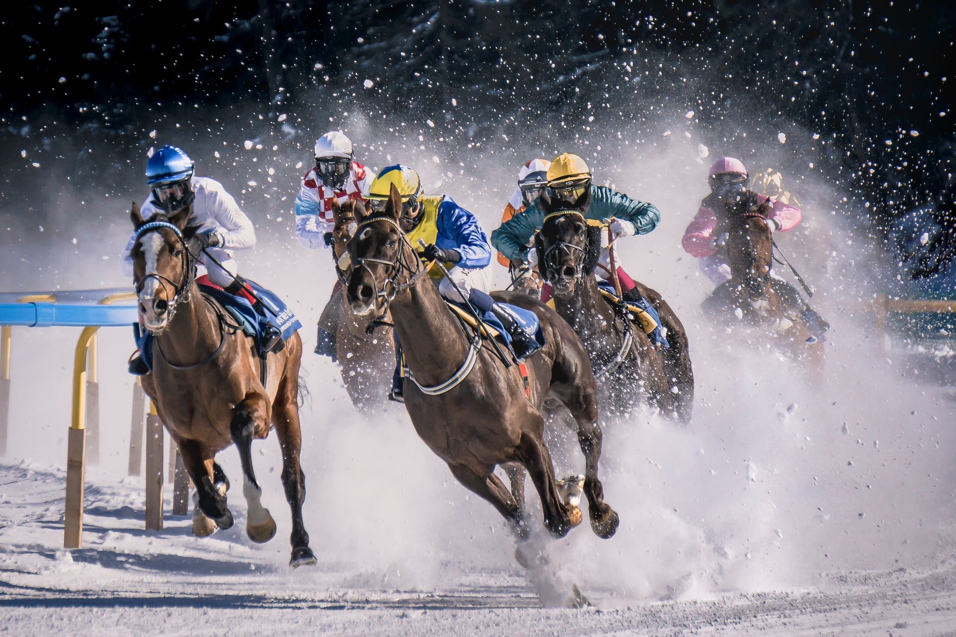 Pferderennen im Schnee
