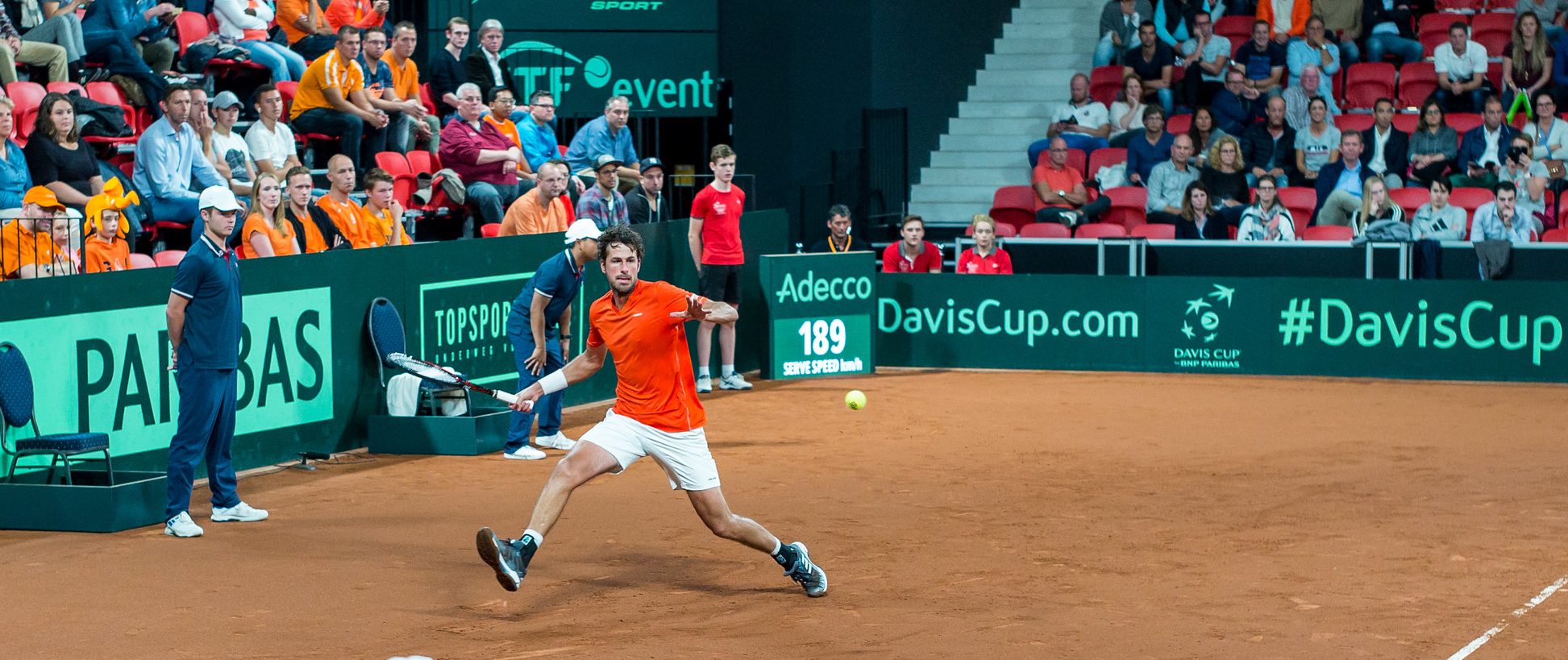 Robin Haase Tennisspieler