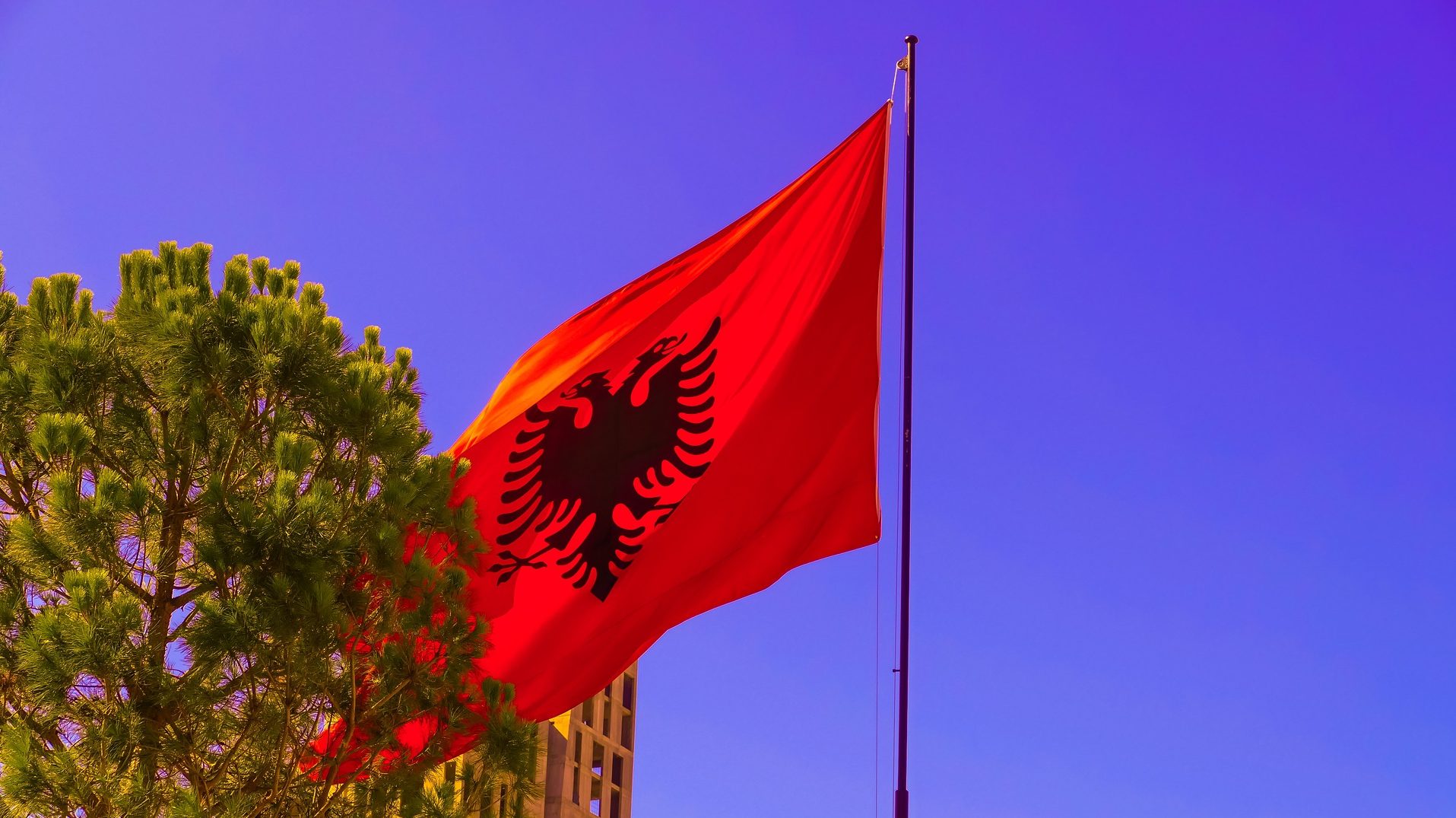 Albanische Flagge vor blauem Himmel|Albaniens Premierminister Edi Rama