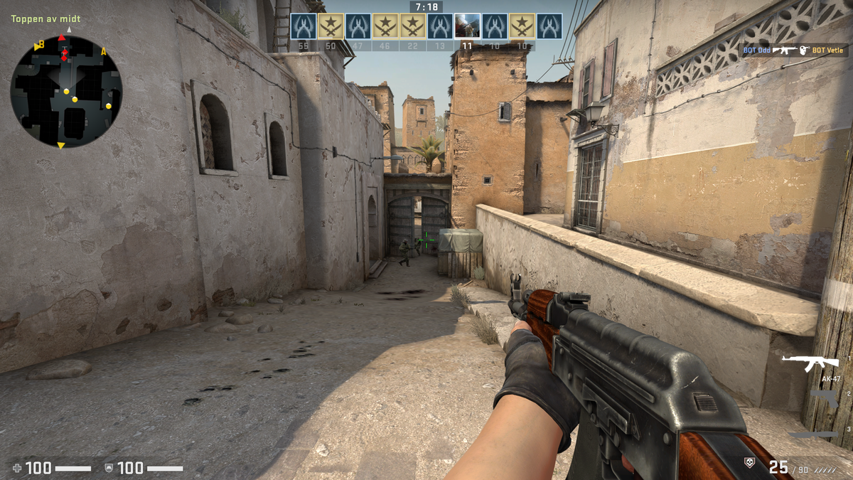 Counter-Strike: Global Offensive (CS:GO) Szene