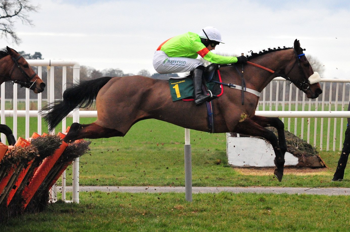 Rennpferd mit Jockey|Hürdenrennen Pferd mit Jockey