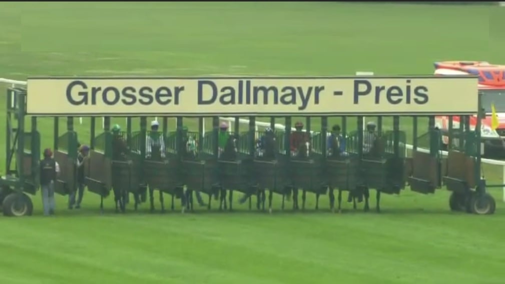 Grosser Dallmayr Preis Bayerisches Zuchtrennen Rennpferde