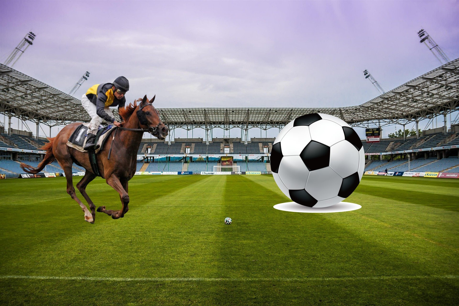 Rennpferd mit Jockey im Fußballstadion Fußball