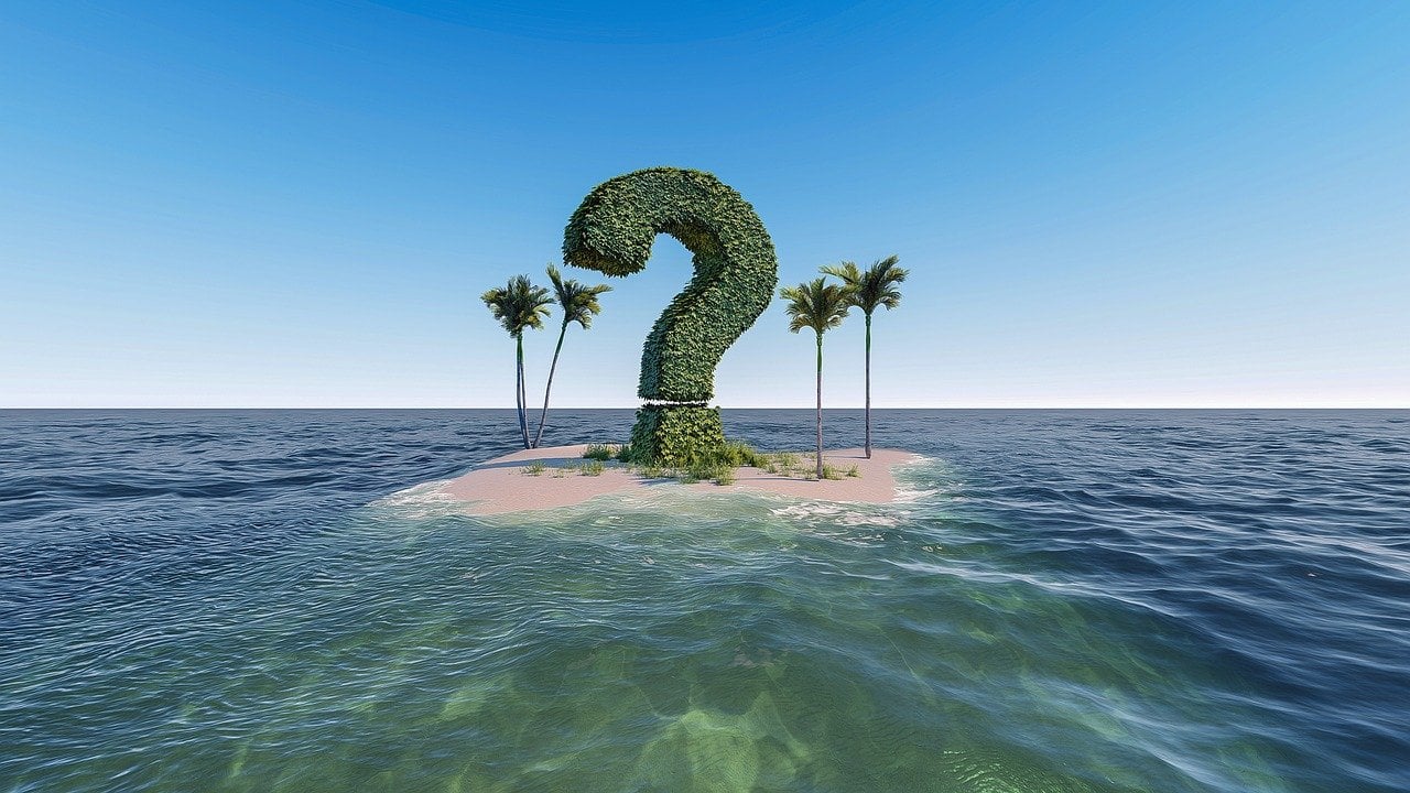 Fragezeichen als Baum Insel im Meer Palmen|