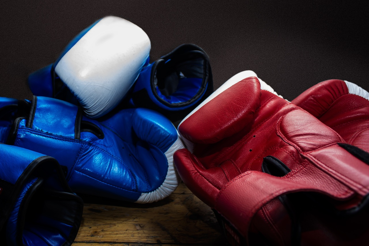 Boxhandschuhe|wilder||