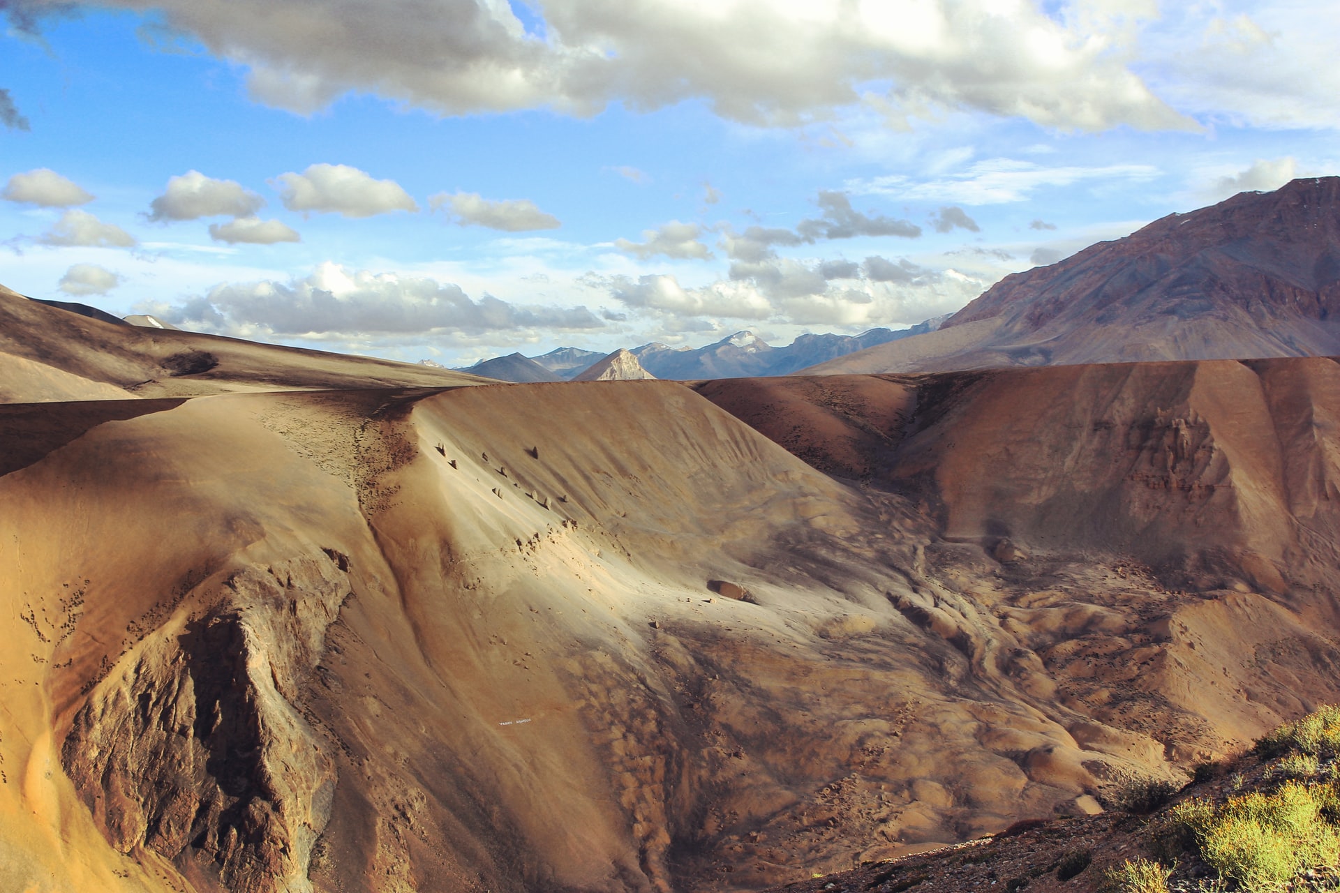 Ladakh Hilmalaya