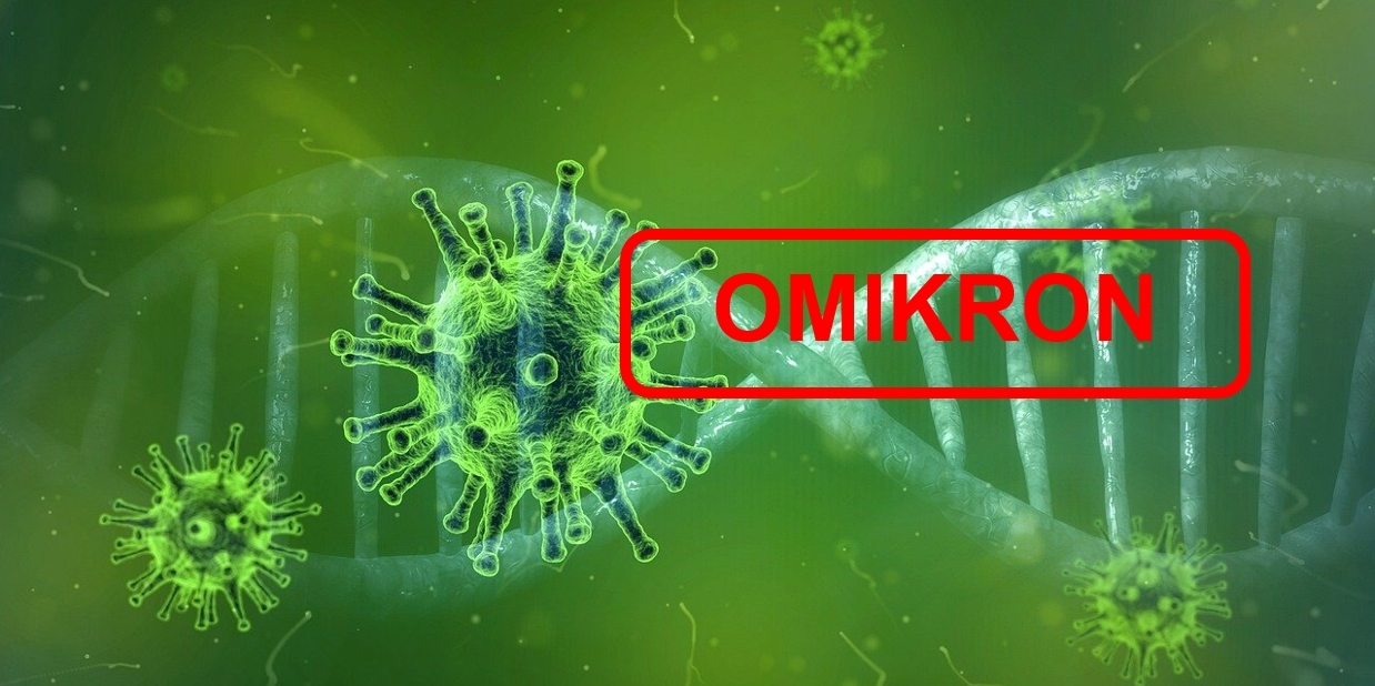 Omikron, Virus, DNA