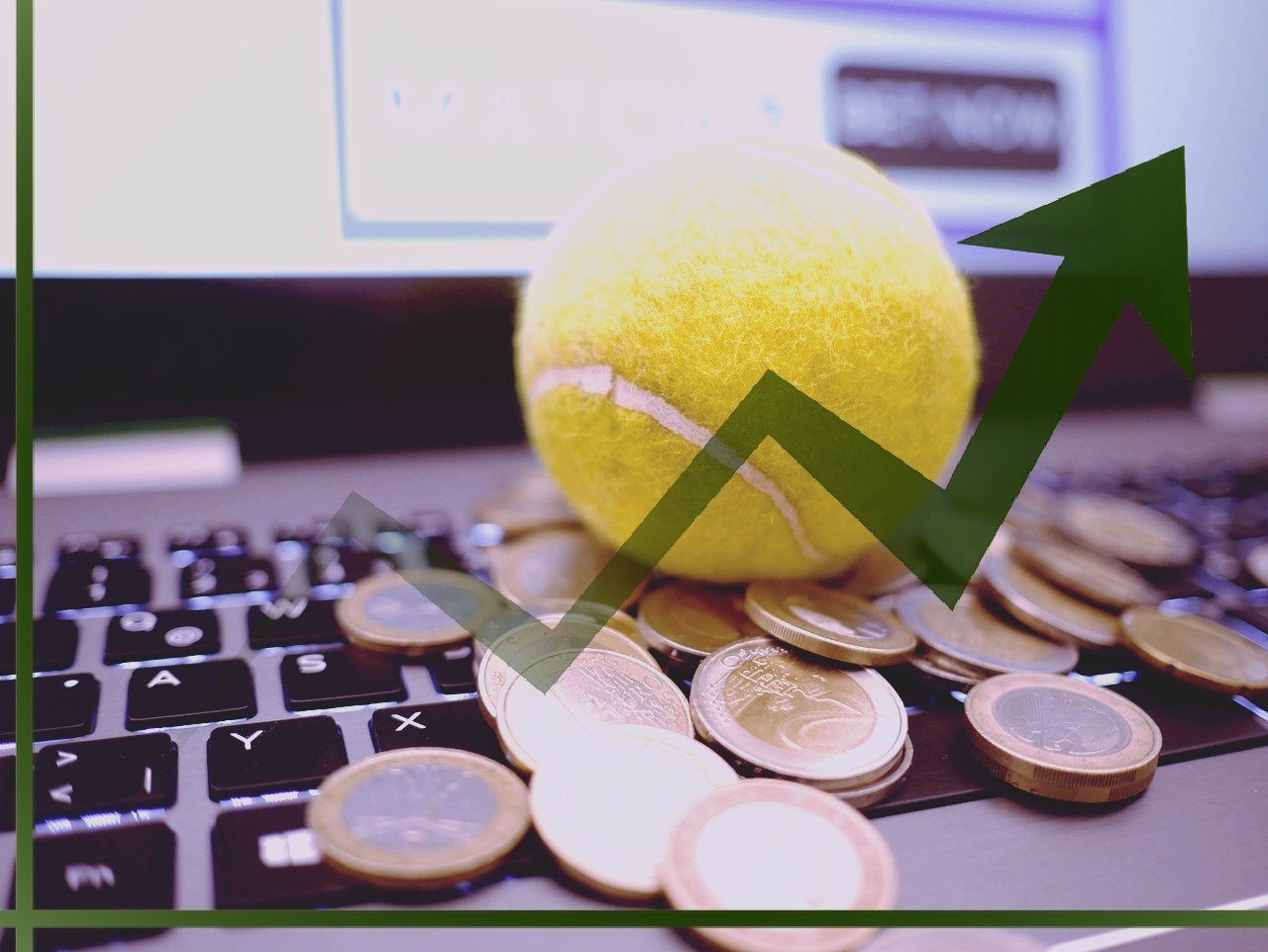 Diagramm, Geld, Tennisball