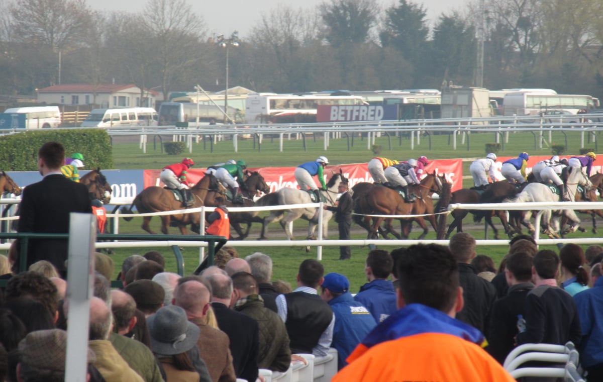 Pferde Besucher Cheltenham Festival