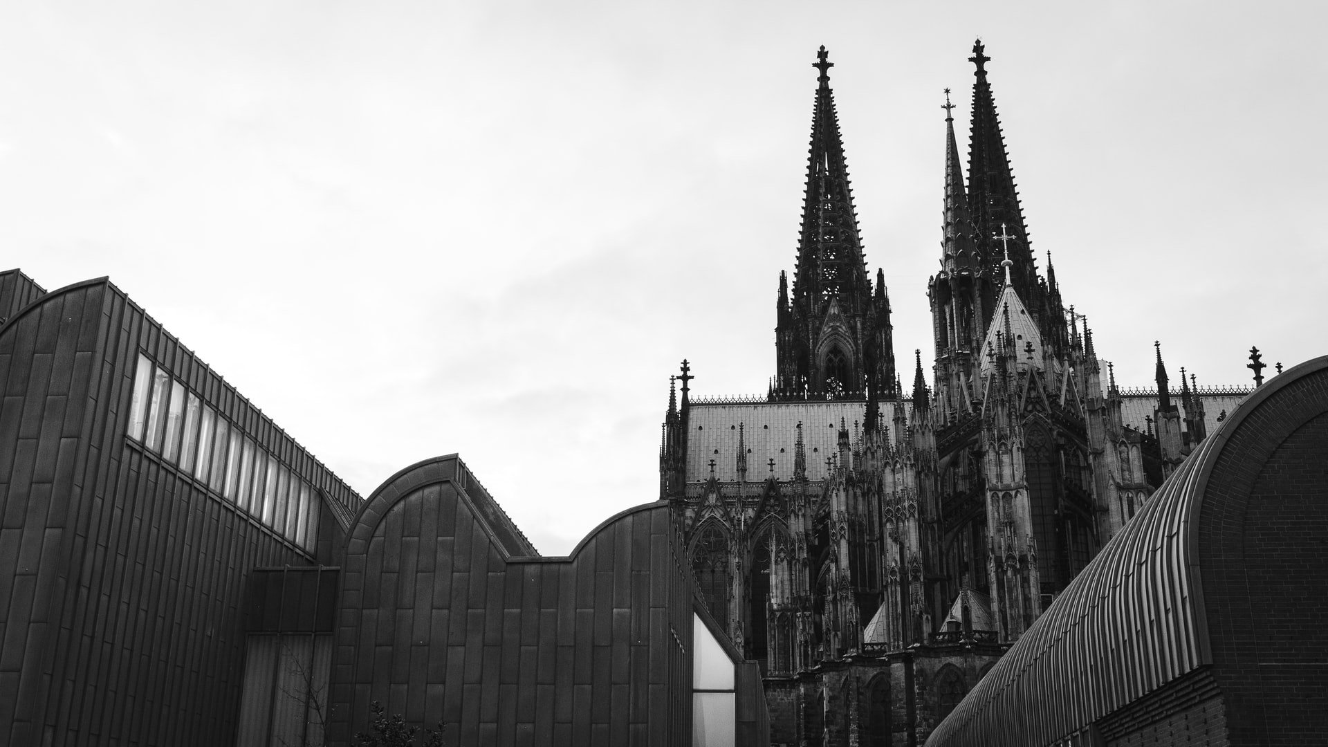 Kölner Dom schwarzweiß
