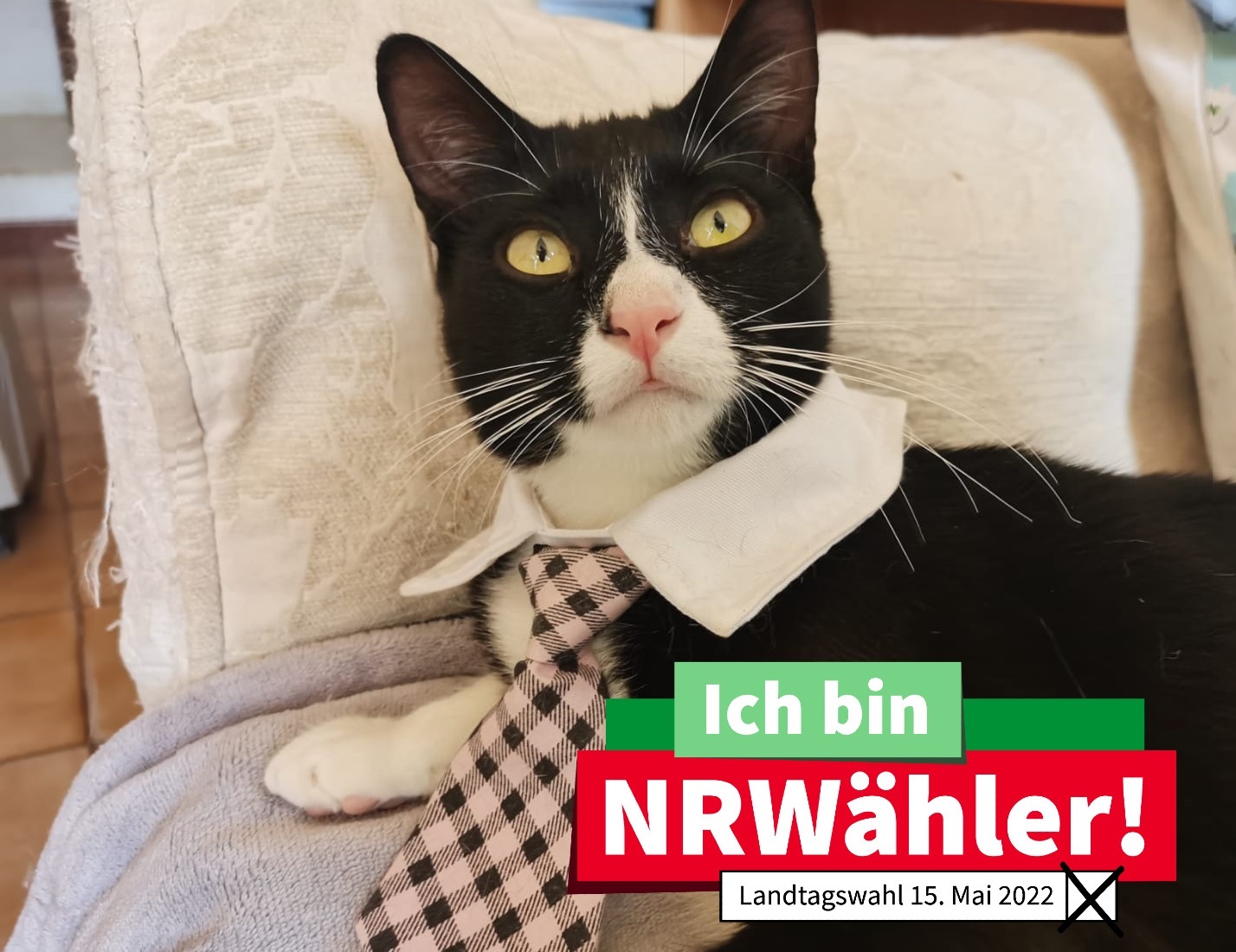 Schwarz-weißer Kater mit Kravatte und Logo Ich bin NRWähler!