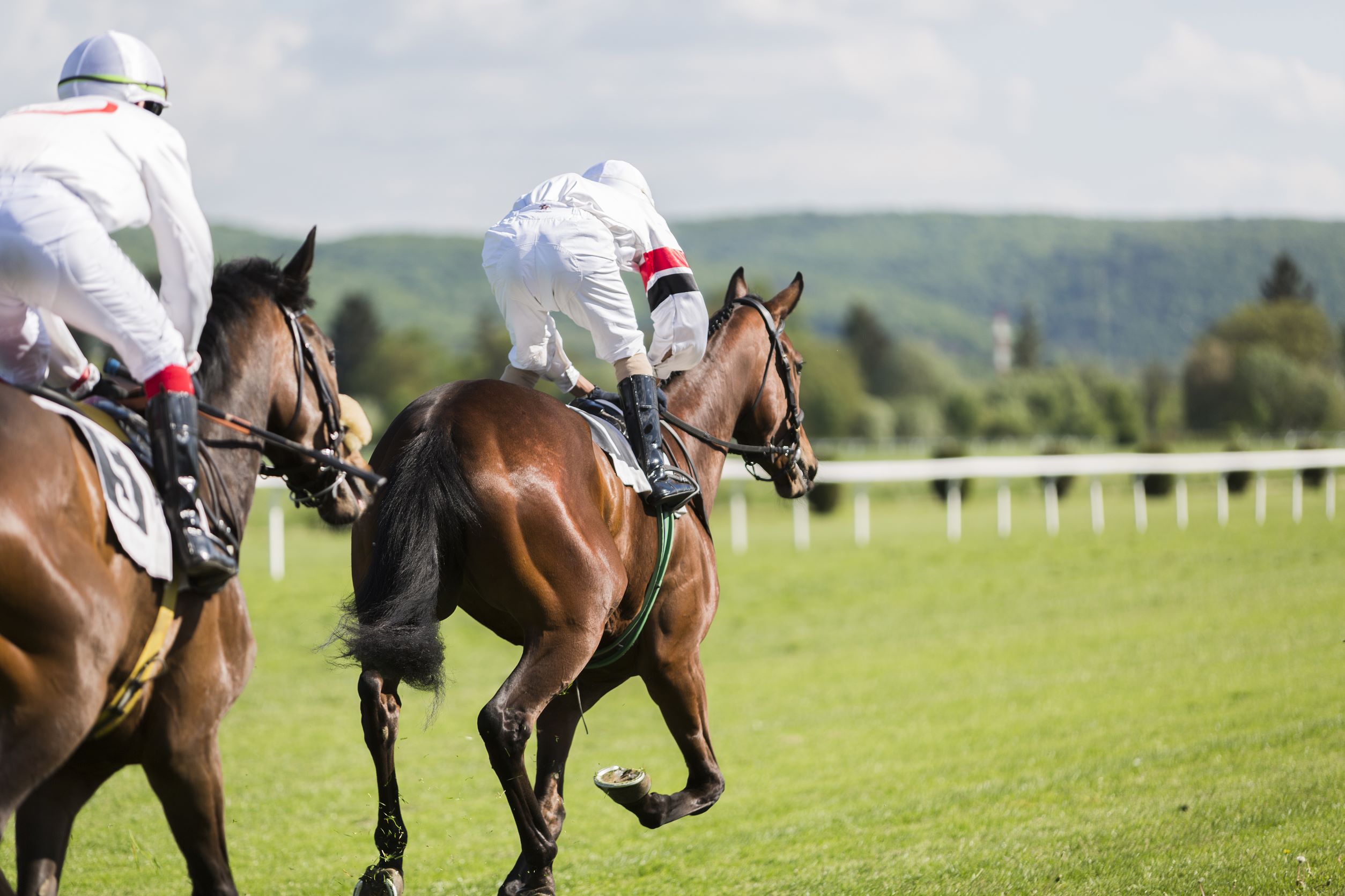 Zwei Rennpferde mit Jockey im Pferderennen