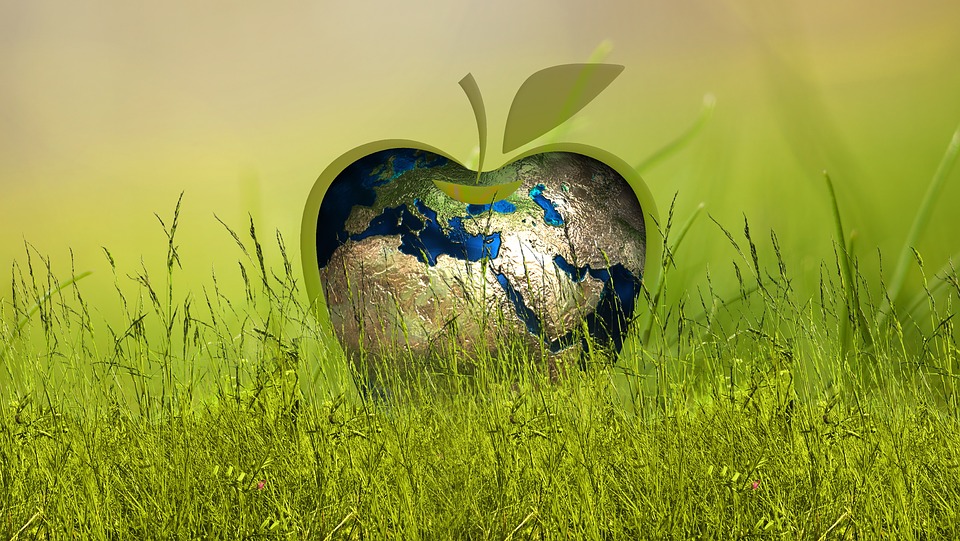 Gras Globus in Form eines Apfels Symbol für Nachhaltigkeit